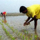 Agriculture & Environment Image