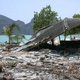 Damage from the 2004 tsunami