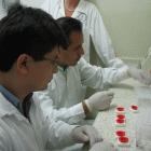Laboratory technicians demonstrating the TB testing method