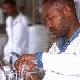 AMCOST have suggested ways forward for African science