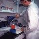 There is little reporting on the actual process of science