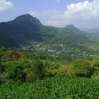 Acayuca, Molango