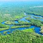 Amazon river