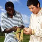 CAS will increase joint activities with other developing countries