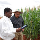 African scientists
