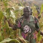 Farming communities will suffer the economic impacts of climate change