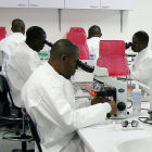 The fellowship will aim to build research capacity The fellowship will aim to build research capacity