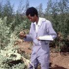 The degree programmes will speed up agricultural research