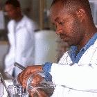 AMCOST have suggested ways forward for African science