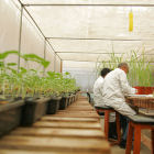 Two agricultural researchers 