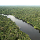 The Amazon The Amazon