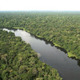 The Amazon