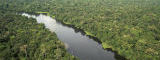 The Amazon, Greenpeace/Daniel Beltra