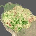 Satellite image of the Amazon, with green indicating above average vegetation during the drought