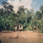 Serán beneficiadas familias para que no deforesten la Amazonía