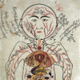 Avicenna's drawing from Canon of Medicine 