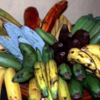 Banana biodiversity