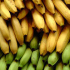 Bananas