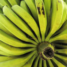 Organic banana