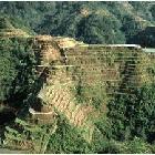 The rice steps of Banaue