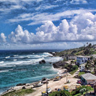 Barbados 