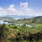 Beans farms, Rwanda. Credit: Flickr\CIAT