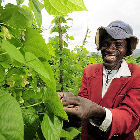 Maize farmer, Africa - Flickr/M. DeFreese/CIMMYT