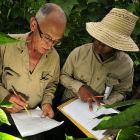 Research for climate-proof beans