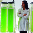 Chilean scientist
