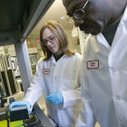 Discovering Africa's drug potential