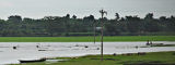 Brahamputra river by Flickr/amirjina