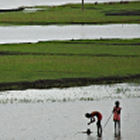 Brahamputra river