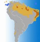 Predicted rainfall in the Amazon in 2100(light brown = reduction by 3 mm/day)
