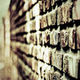Brick Wall 