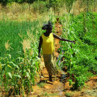 Woman farmer in Burkina Faso