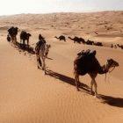 The expansion of the tropics could cause deserts to spread, say the researchers