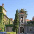 University of Cape Town