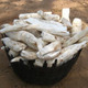 Cassava roots