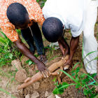 Cassava farmers in Africa