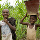 Children near Kunsu, Ghana