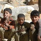 Vaccine research for peace