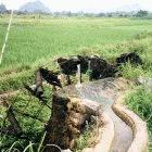 The partnership could improve irrigation and water resource management in China