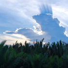 Nuages au-dessus du parc national de Tanjung Puting, en Indonésie