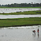 Coastal area
