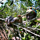 Coffee farmer, East Africa