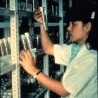 Colombian biotechnologist working with cassava in a gene bank