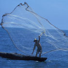 Colombia Fish