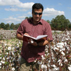 A cotton researcher