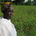 A cotton farmer in Mali