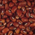 Cowpea
